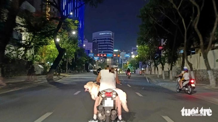 base64-17296753598911961348477 Chó thả rông cắn trẻ nhỏ, suýt làm 3 người bị xe ben cán: Chẳng lẽ bó tay với vấn nạn này? - Ảnh 1.